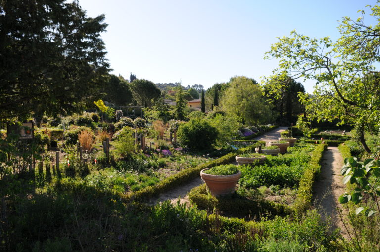 Photo des Jardins du Musée International de la Parfumerie
