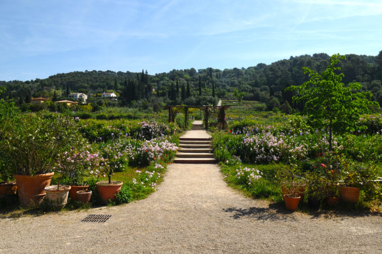 Photo des Jardins du Musée International de la Parfumerie