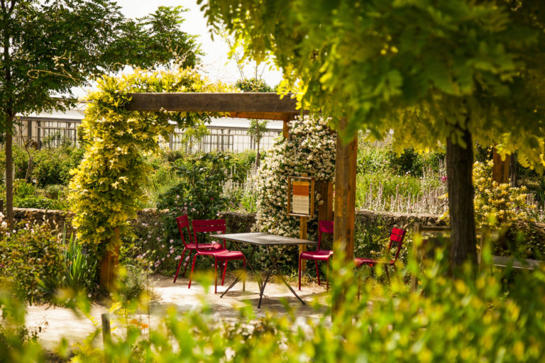 Photo des Jardins du Musée International de la Parfumerie